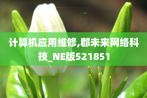 计算机应用维修,郡未来网络科技_NE版521851