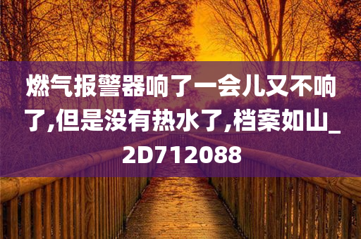 燃气报警器响了一会儿又不响了,但是没有热水了,档案如山_2D712088