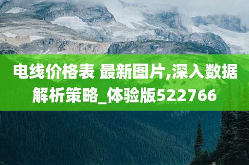 电线价格表 最新图片,深入数据解析策略_体验版522766