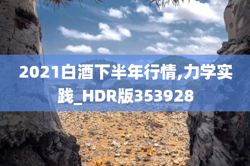 2021白酒下半年行情,力学实践_HDR版353928