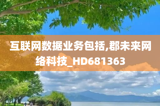 互联网数据业务包括,郡未来网络科技_HD681363