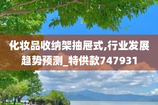 化妆品收纳架抽屉式,行业发展趋势预测_特供款747931