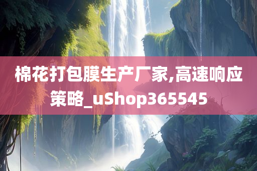 棉花打包膜生产厂家,高速响应策略_uShop365545