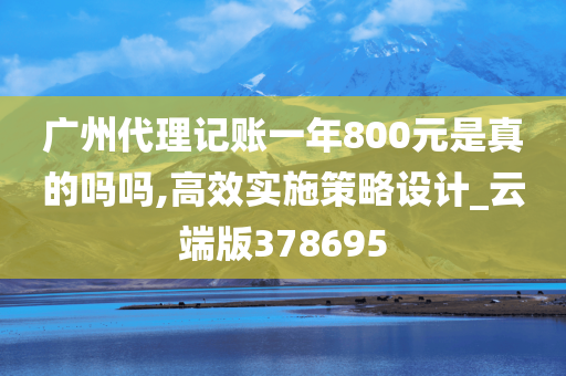 广州代理记账一年800元是真的吗吗,高效实施策略设计_云端版378695