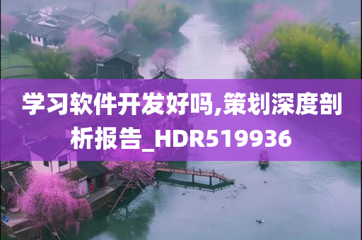 学习软件开发好吗,策划深度剖析报告_HDR519936