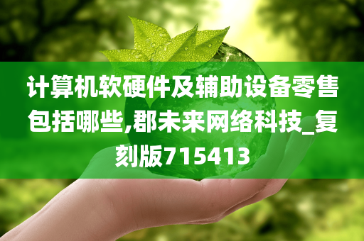 计算机软硬件及辅助设备零售包括哪些,郡未来网络科技_复刻版715413