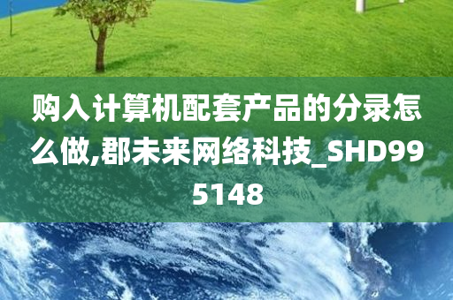 购入计算机配套产品的分录怎么做,郡未来网络科技_SHD995148