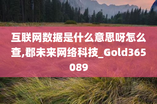 互联网数据是什么意思呀怎么查,郡未来网络科技_Gold365089