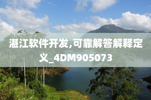 湛江软件开发,可靠解答解释定义_4DM905073