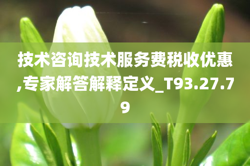 技术咨询技术服务费税收优惠,专家解答解释定义_T93.27.79