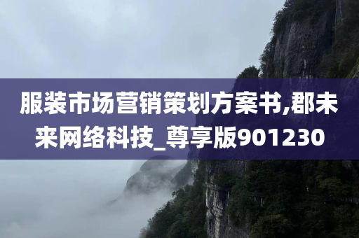 服装市场营销策划方案书,郡未来网络科技_尊享版901230