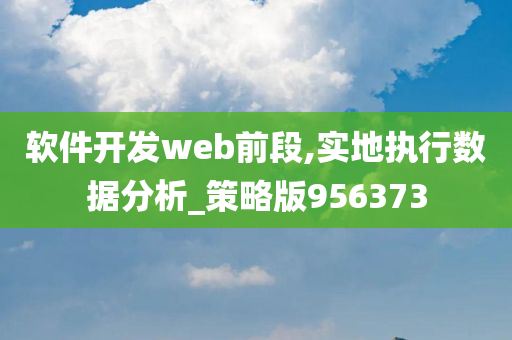 软件开发web前段,实地执行数据分析_策略版956373