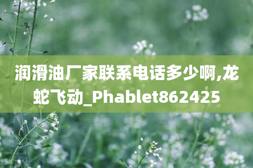 润滑油厂家联系电话多少啊,龙蛇飞动_Phablet862425