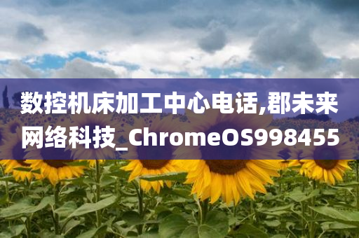 数控机床加工中心电话,郡未来网络科技_ChromeOS998455