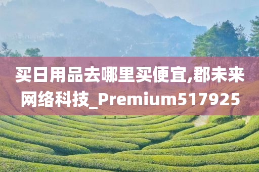 买日用品去哪里买便宜,郡未来网络科技_Premium517925