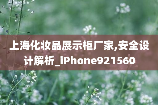 上海化妆品展示柜厂家,安全设计解析_iPhone921560