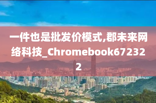 一件也是批发价模式,郡未来网络科技_Chromebook672322