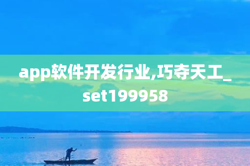 app软件开发行业,巧夺天工_set199958