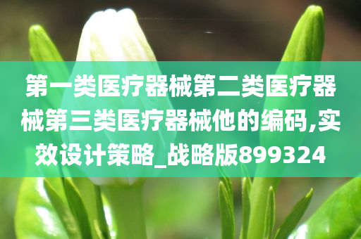 第一类医疗器械第二类医疗器械第三类医疗器械他的编码,实效设计策略_战略版899324