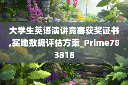 大学生英语演讲竞赛获奖证书,实地数据评估方案_Prime783818