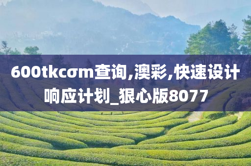 600tkcσm查询,澳彩,快速设计响应计划_狠心版8077