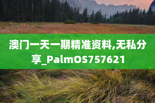 澳门一天一期精准资料,无私分享_PalmOS757621