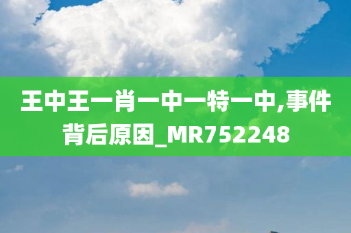 王中王一肖一中一特一中,事件背后原因_MR752248