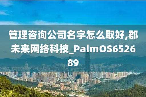 管理咨询公司名字怎么取好,郡未来网络科技_PalmOS652689