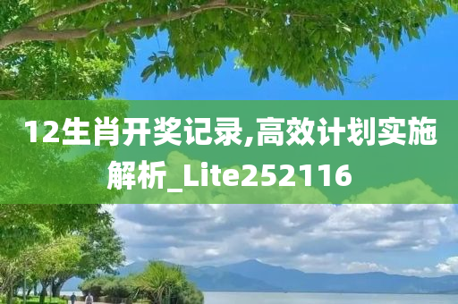 12生肖开奖记录,高效计划实施解析_Lite252116