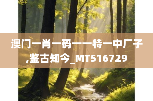 澳门一肖一码一一特一中厂子,鉴古知今_MT516729