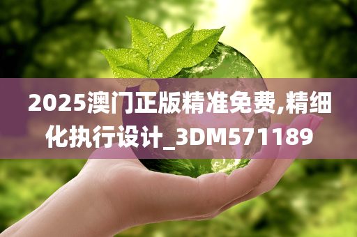 2025澳门正版精准免费,精细化执行设计_3DM571189