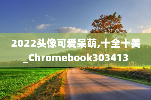 2022头像可爱呆萌,十全十美_Chromebook303413