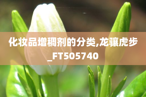 化妆品增稠剂的分类,龙骧虎步_FT505740