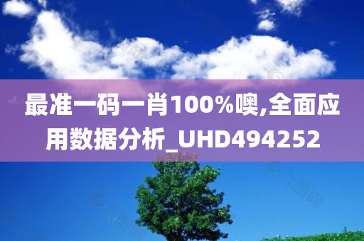 最准一码一肖100%噢,全面应用数据分析_UHD494252