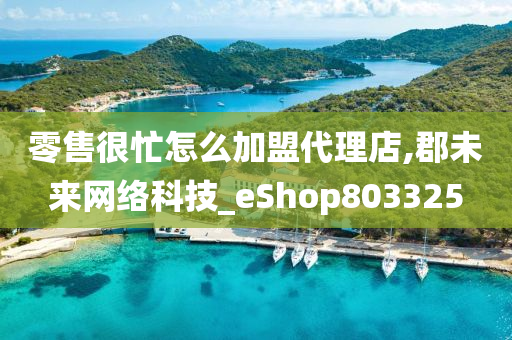 零售很忙怎么加盟代理店,郡未来网络科技_eShop803325