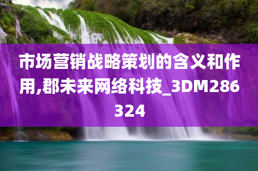 市场营销战略策划的含义和作用,郡未来网络科技_3DM286324