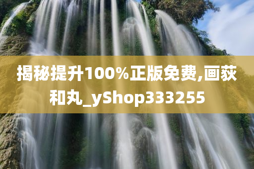 揭秘提升100%正版免费,画荻和丸_yShop333255