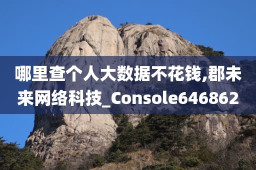 哪里查个人大数据不花钱,郡未来网络科技_Console646862