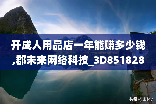 开成人用品店一年能赚多少钱,郡未来网络科技_3D851828