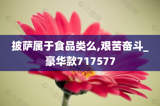 披萨属于食品类么,艰苦奋斗_豪华款717577