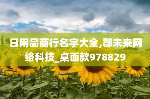 日用品商行名字大全,郡未来网络科技_桌面款978829