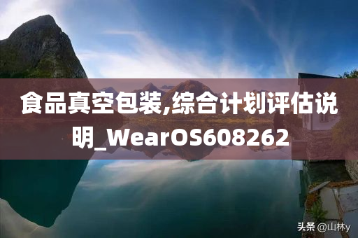 食品真空包装,综合计划评估说明_WearOS608262