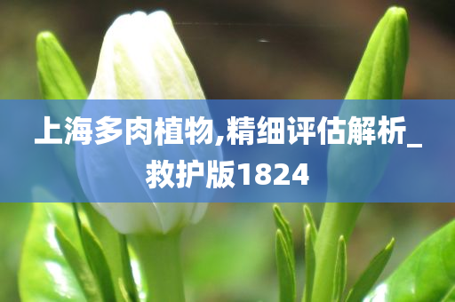 上海多肉植物,精细评估解析_救护版1824