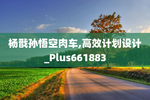 杨戬孙悟空肉车,高效计划设计_Plus661883