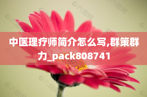 中医理疗师简介怎么写,群策群力_pack808741