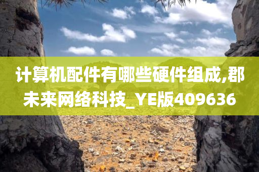 计算机配件有哪些硬件组成,郡未来网络科技_YE版409636