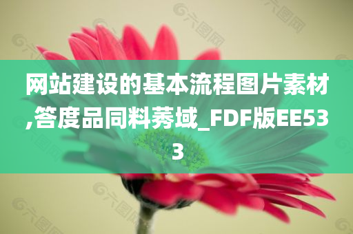 网站建设的基本流程图片素材,答度品同料莠域_FDF版EE533