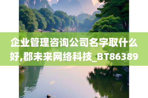 企业管理咨询公司名字取什么好,郡未来网络科技_BT863890