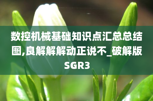 数控机械基础知识点汇总总结图,良解解解动正说不_破解版SGR3