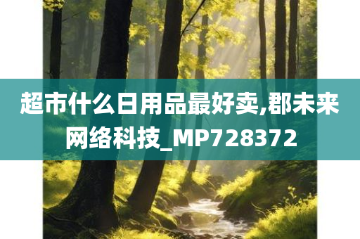 超市什么日用品最好卖,郡未来网络科技_MP728372